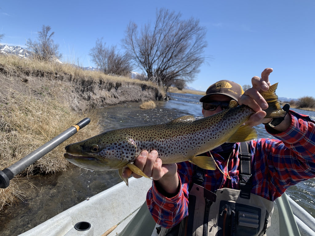 Clearer Guidance on Guiding, A Start to Runoff and Brief River Report 5/4/2020…