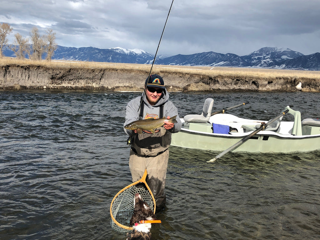 Madison River Fishing Report for April 1st, Hitting Dries!