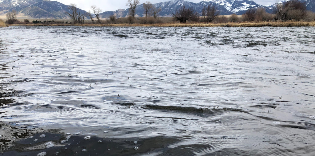 Update on Re-Opening, Guiding and staying safe while we do it, 4/24/2020….