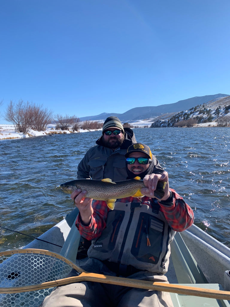 Brown Trout caught using a large stonefly nymph on the Madison River near Ennis, Montana.