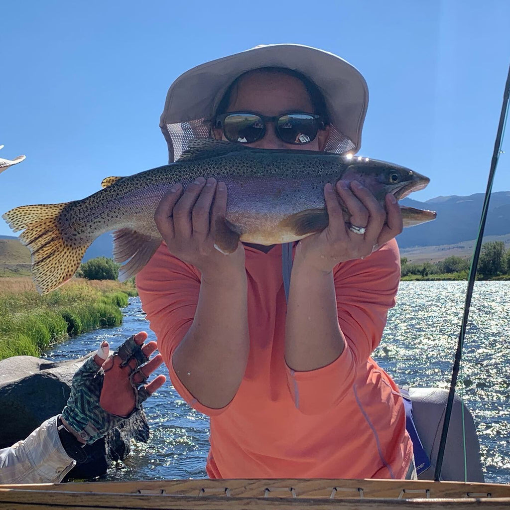 See with a great big rainbow trout caught on a grasshopper during a recent guided fly fishing trip on the Madison River near Ennis Montana. 