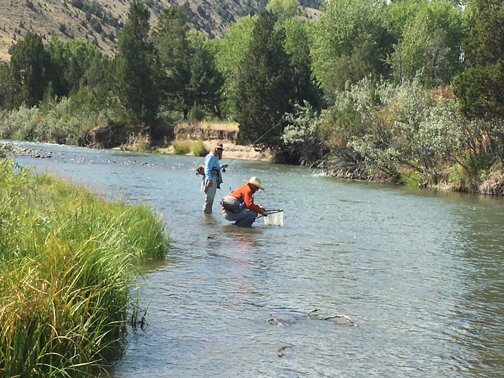 Landing a fish while on a guided wade fishing trip on the Ruby River