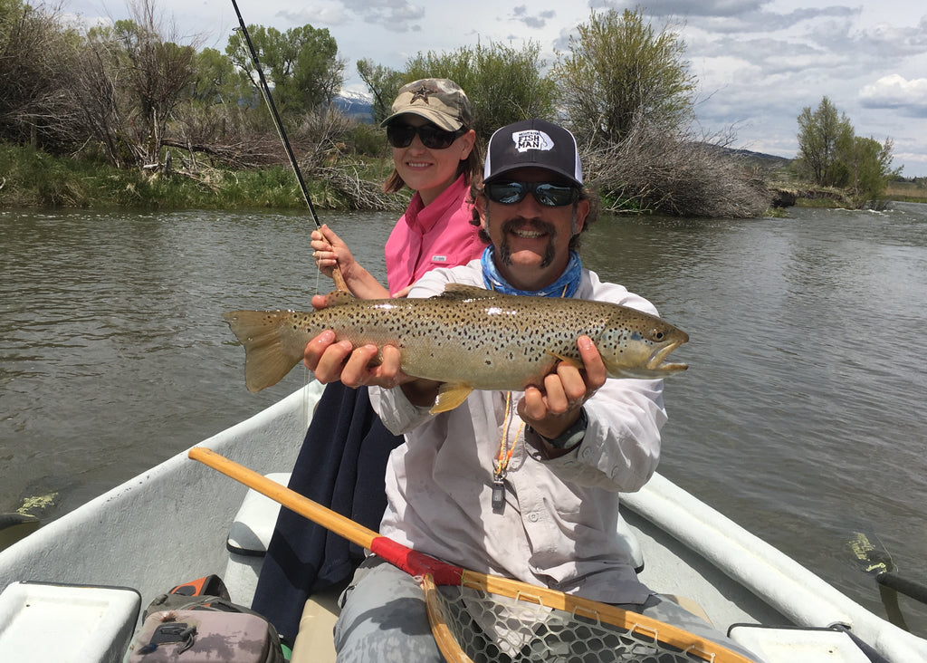 Early spring brown trout taken on a Skwala dry fly on the Madison River near Ennis Montana