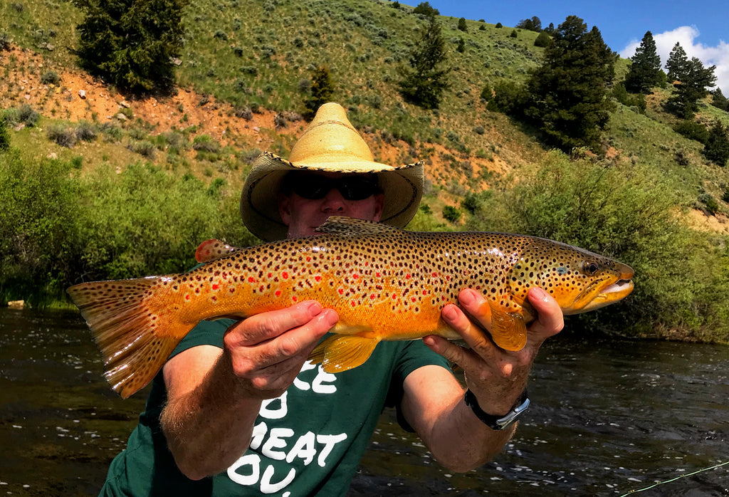 Mike Worley with an awesome brown trout caught fishing Skwalla Stoneflies on the Big Hole River in Southwest Montana