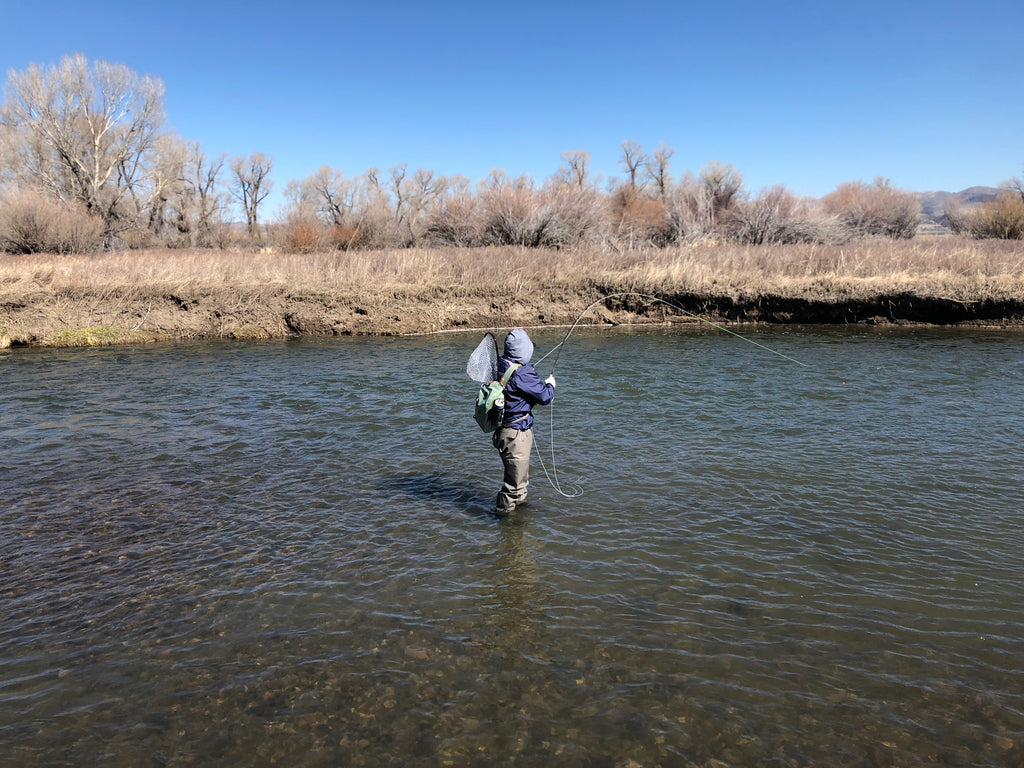Fighting a fish in a side channel of the Madison River. Ennis, Montana